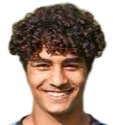 https://img.chejiqiche.com/img/football/player/1e4ec0f87ec12d1a57199197bb193cf8.png